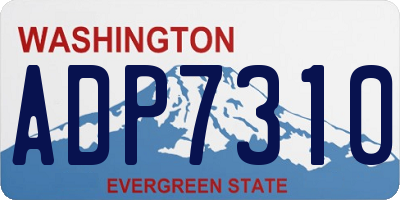 WA license plate ADP7310