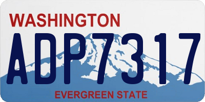 WA license plate ADP7317