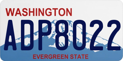 WA license plate ADP8022