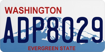 WA license plate ADP8029