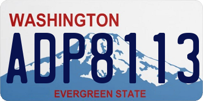 WA license plate ADP8113