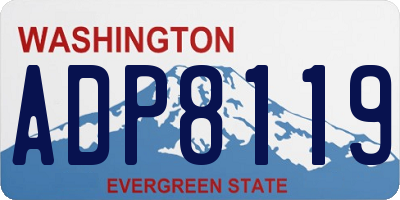 WA license plate ADP8119