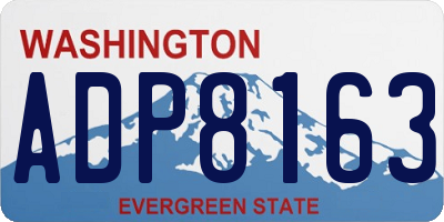 WA license plate ADP8163