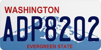 WA license plate ADP8202