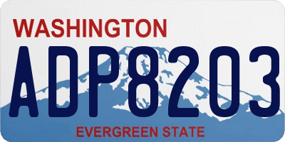 WA license plate ADP8203