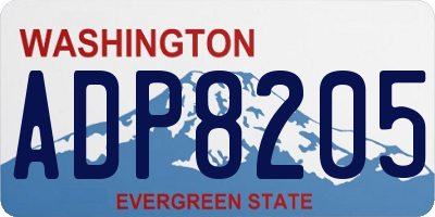 WA license plate ADP8205