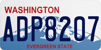 WA license plate ADP8207