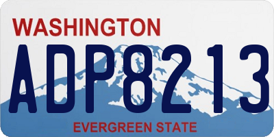 WA license plate ADP8213
