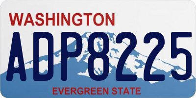 WA license plate ADP8225