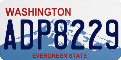 WA license plate ADP8229