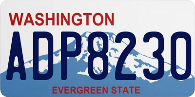 WA license plate ADP8230