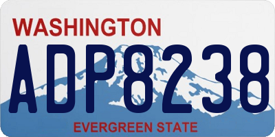 WA license plate ADP8238