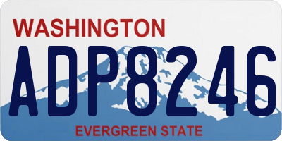 WA license plate ADP8246