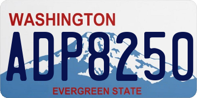 WA license plate ADP8250