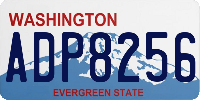 WA license plate ADP8256