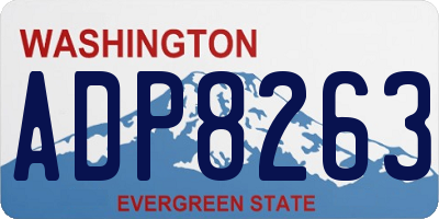 WA license plate ADP8263