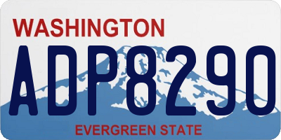 WA license plate ADP8290