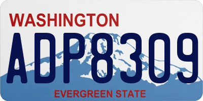 WA license plate ADP8309
