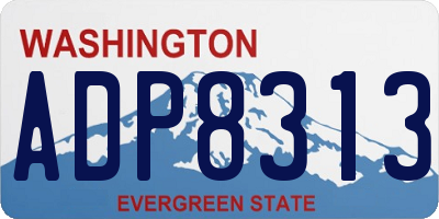 WA license plate ADP8313