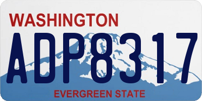 WA license plate ADP8317