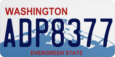WA license plate ADP8377