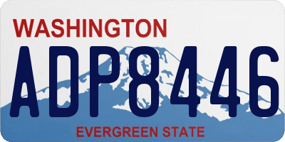 WA license plate ADP8446