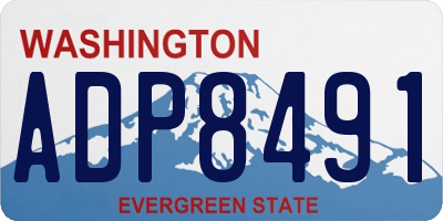 WA license plate ADP8491