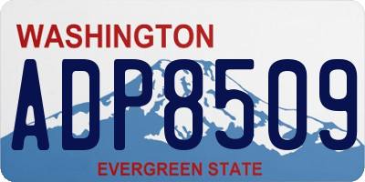 WA license plate ADP8509