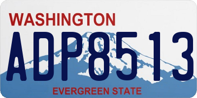 WA license plate ADP8513