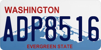 WA license plate ADP8516