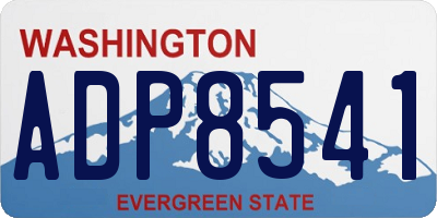 WA license plate ADP8541