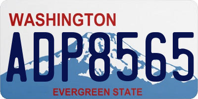 WA license plate ADP8565