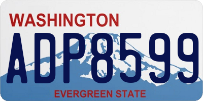 WA license plate ADP8599
