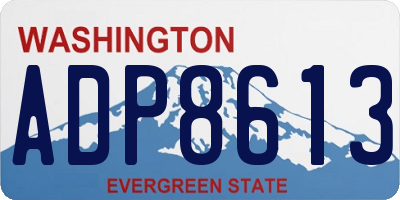 WA license plate ADP8613