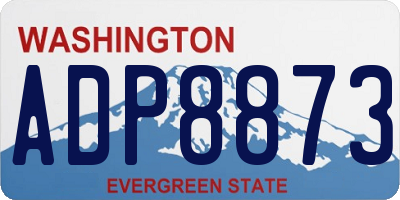 WA license plate ADP8873