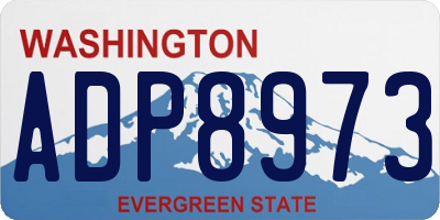 WA license plate ADP8973