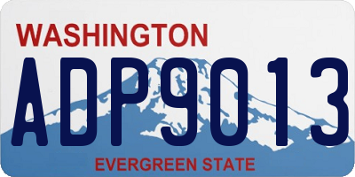 WA license plate ADP9013