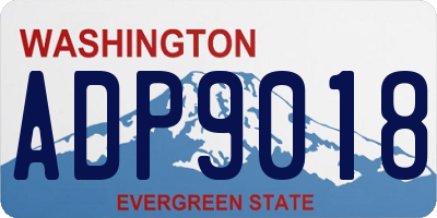 WA license plate ADP9018