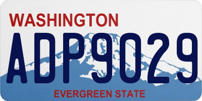 WA license plate ADP9029