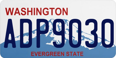 WA license plate ADP9030