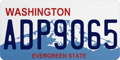 WA license plate ADP9065