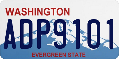 WA license plate ADP9101