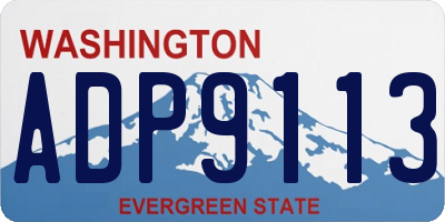 WA license plate ADP9113