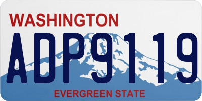WA license plate ADP9119