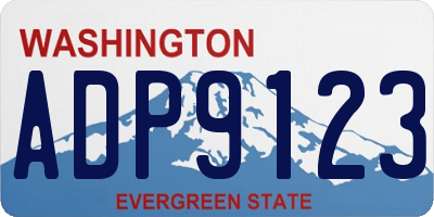 WA license plate ADP9123