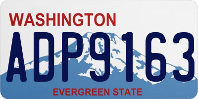 WA license plate ADP9163