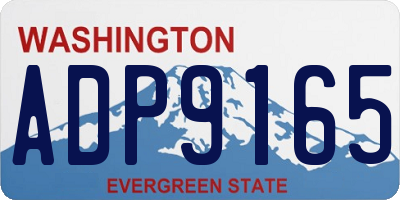 WA license plate ADP9165