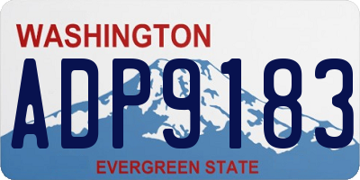 WA license plate ADP9183