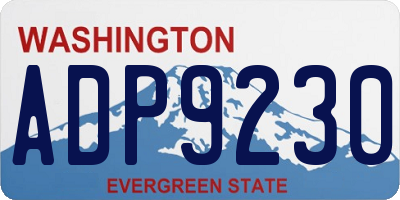 WA license plate ADP9230