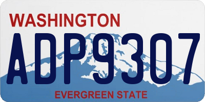 WA license plate ADP9307